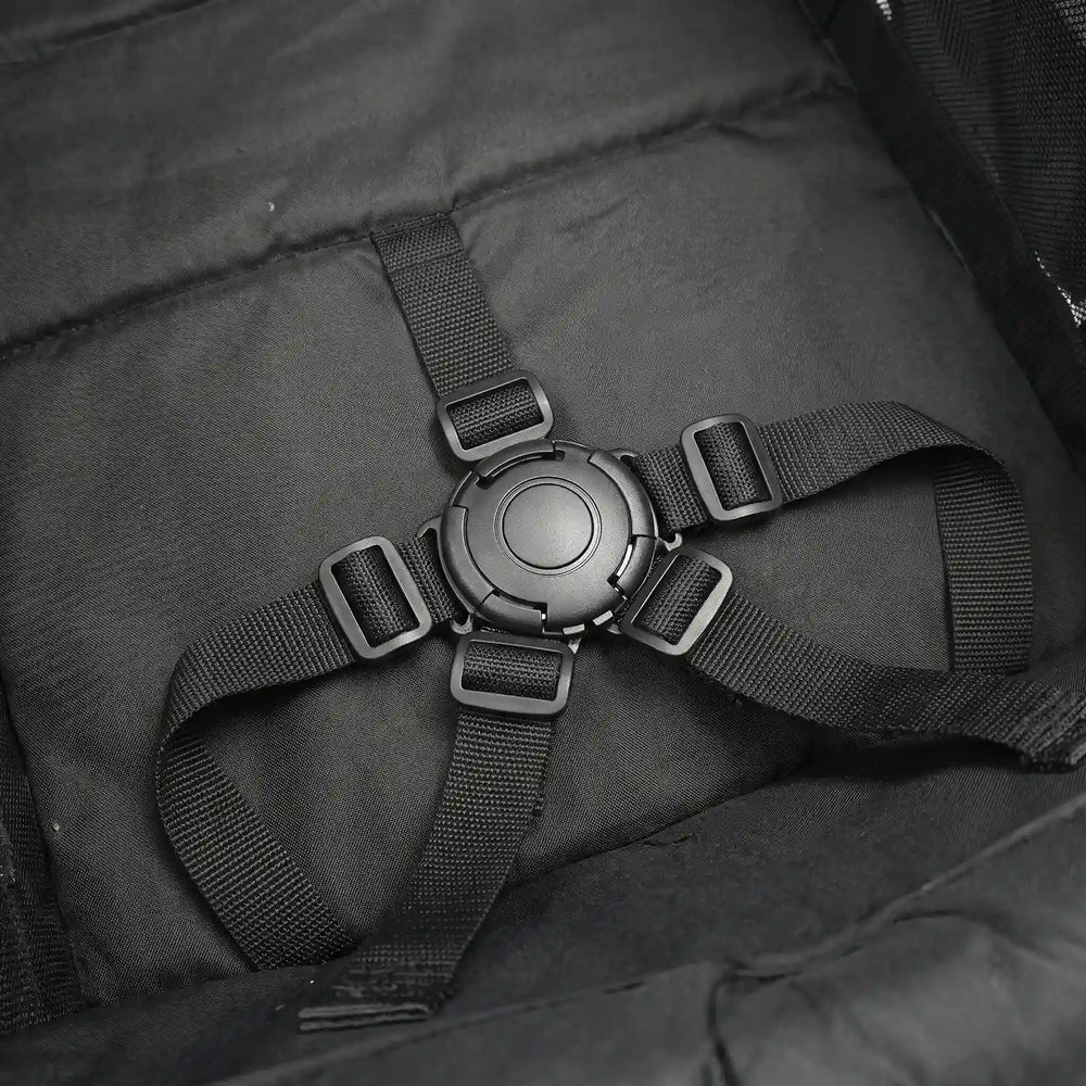 5-Point Safety Harness