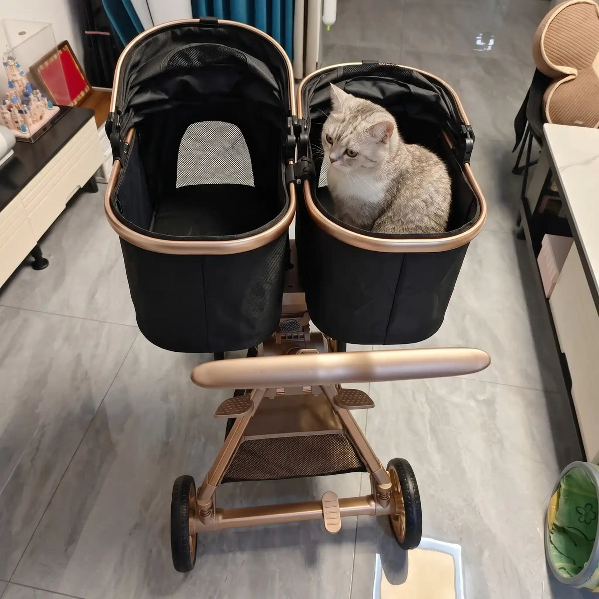 Wagcario™ TwinRide Premium All-Terrain Double-Cabin Pet Stroller