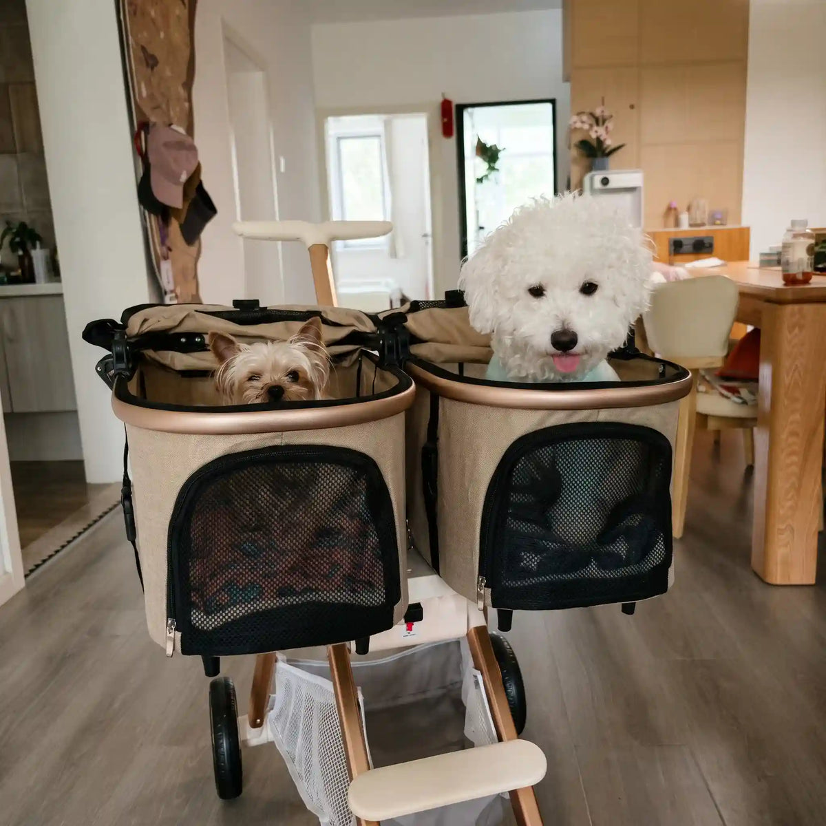 Wagcario™ TwinRide Premium All-Terrain Double-Cabin Pet Stroller