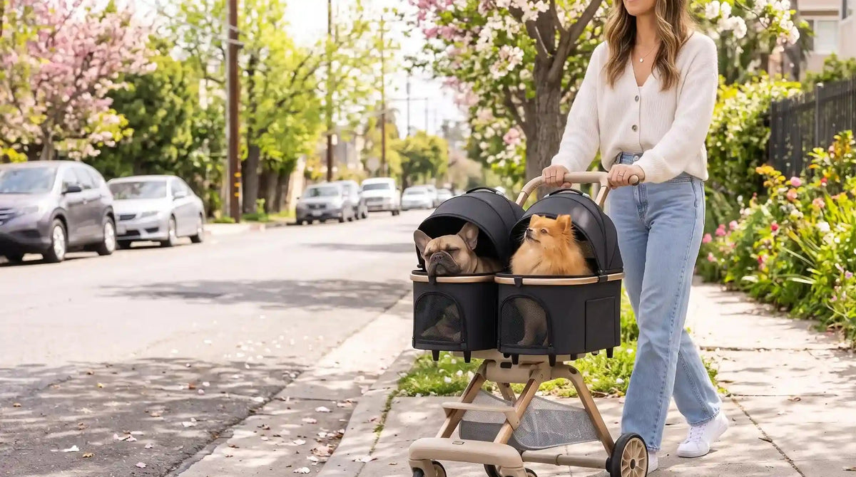 TwinRide double-cabin pet stroller